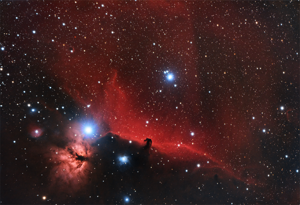 ./images/horsehead1000.png