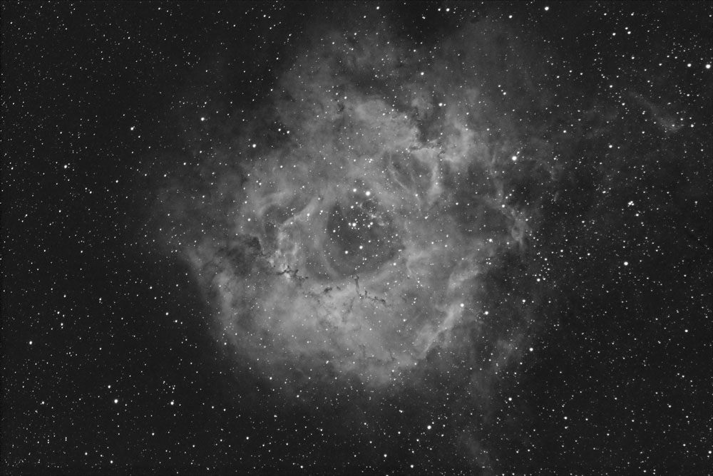 ./images/rosette1000.jpg