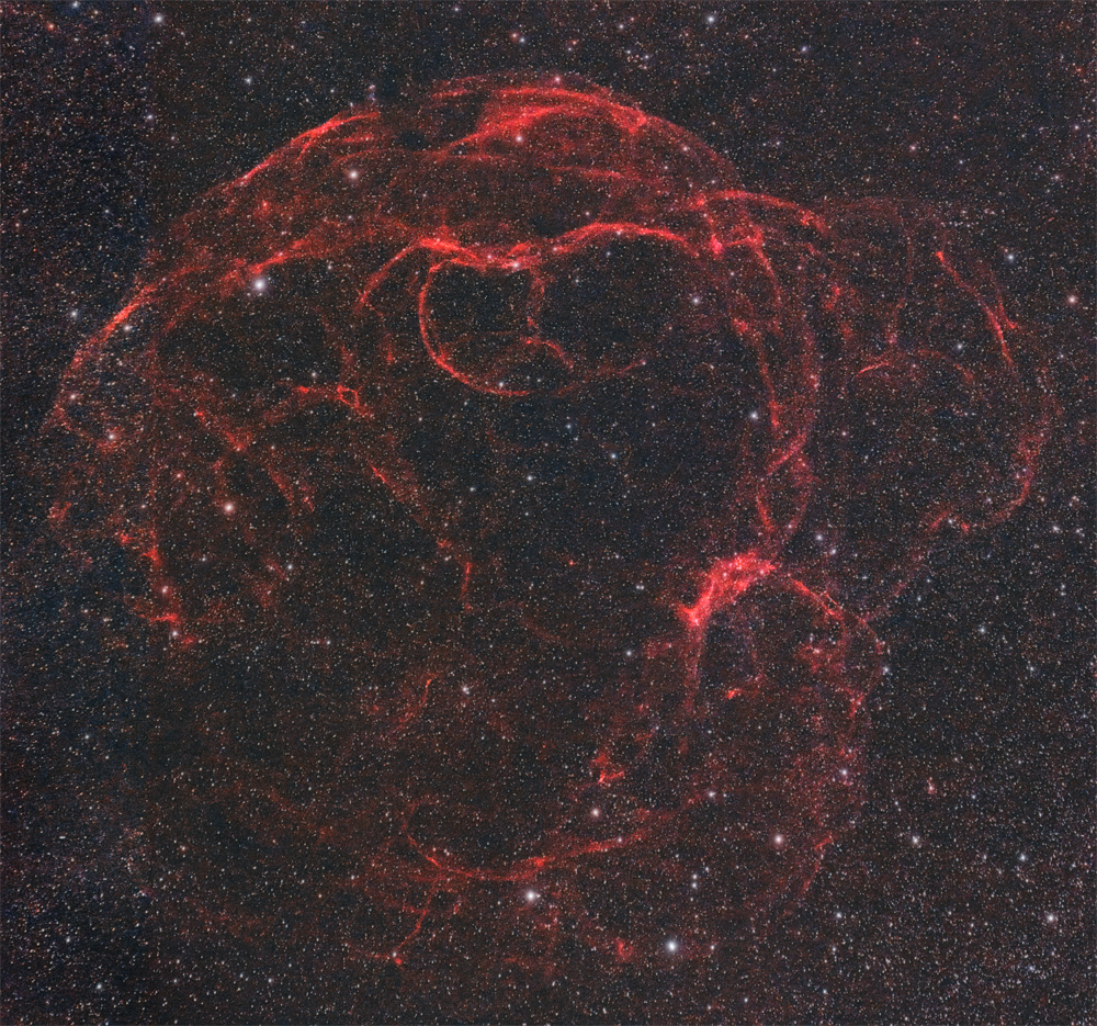 ./images/spaghetti1000.png