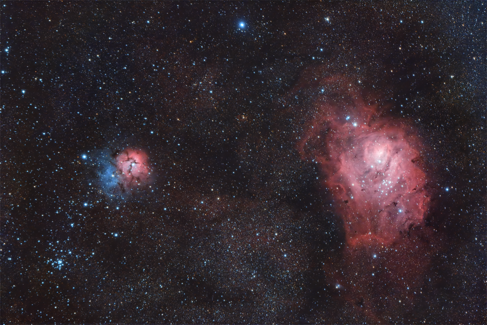 ./images/trifid1000.png